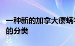 一种新的加拿大瘿螨物种挑战了当前主要谱系的分类