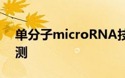 单分子microRNA技术证明可用于肝毒性检测