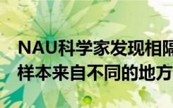 NAU科学家发现相隔10英里的西尼罗河病毒样本来自不同的地方