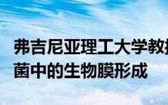 弗吉尼亚理工大学教授获得NSF资助以研究细菌中的生物膜形成