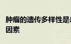 肿瘤的遗传多样性是差异免疫治疗反应的驱动因素