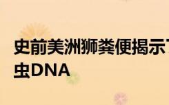 史前美洲狮粪便揭示了有史以来最古老的寄生虫DNA