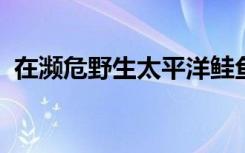 在濒危野生太平洋鲑鱼种群中发现的新病毒