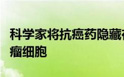 科学家将抗癌药隐藏在颗粒中以靶向并摧毁肿瘤细胞