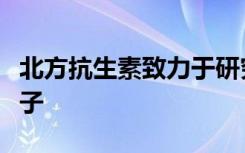 北方抗生素致力于研究抗生素抗性细菌的新分子