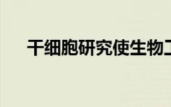 干细胞研究使生物工程动脉更接近现实