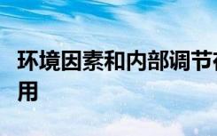 环境因素和内部调节在决定生物体生长中的作用