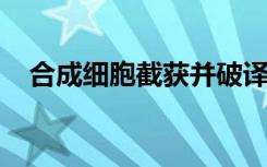 合成细胞截获并破译免疫系统的隐藏信息