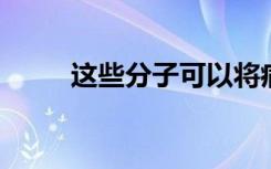 这些分子可以将病毒捕获到细胞内