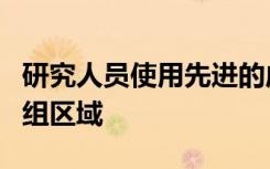 研究人员使用先进的成像技术绘制未知的基因组区域