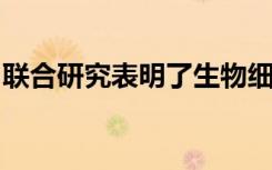 联合研究表明了生物细胞定位背后的数学原理