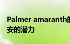 Palmer amaranth的分子秘密揭示了令人不安的潜力