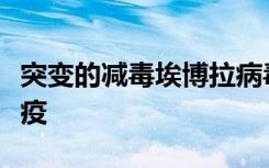 突变的减毒埃博拉病毒在猴子中引发保护性免疫