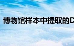 博物馆样本中提取的DNA可以揭示遗传秘密