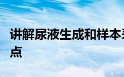 讲解尿液生成和样本采集及处理冲刺复习知识点