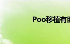 Poo移植有助于拯救考拉