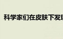 科学家们在皮肤下发现了新的疼痛感应器官