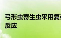 弓形虫寄生虫采用复杂的方法抑制宿主的免疫反应