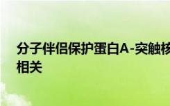 分子伴侣保护蛋白Α-突触核蛋白 该蛋白与帕金森氏病密切相关