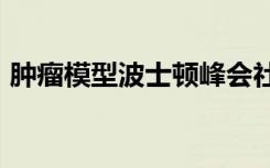 肿瘤模型波士顿峰会社区在2019年再次联合