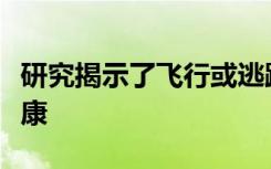 研究揭示了飞行或逃跑的反应如何损害长期健康