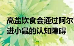 高盐饮食会通过阿尔茨海默症相关蛋白Tau促进小鼠的认知障碍