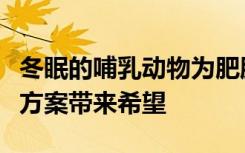 冬眠的哺乳动物为肥胖代谢性疾病的遗传解决方案带来希望