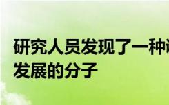 研究人员发现了一种调节不同类型癌症中肿瘤发展的分子