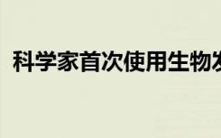 科学家首次使用生物发光闪烁观察鱼类教育