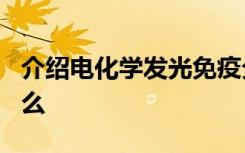 介绍电化学发光免疫分析仪ECLIA的原理是什么