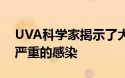 UVA科学家揭示了大肠杆菌如何知道导致最严重的感染