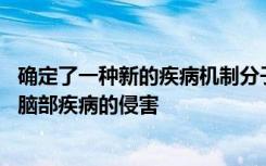 确定了一种新的疾病机制分子药物靶标 可以保护早产儿免受脑部疾病的侵害