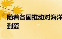 随着各国推动对海洋物种的保护 鲨鱼会感受到爱