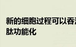 新的细胞过程可以吞没纳米材料而无需直接的肽功能化