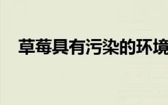 草莓具有污染的环境遗产和不确定的未来