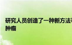 研究人员创造了一种新方法可以使免疫治疗更有效的治疗脑肿瘤