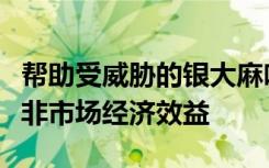 帮助受威胁的银大麻哈鱼可以产生数亿美元的非市场经济效益