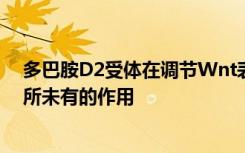 多巴胺D2受体在调节Wnt表达和控制细胞增殖方面具有前所未有的作用