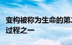 变构被称为生命的第二秘密是生物学最基本的过程之一