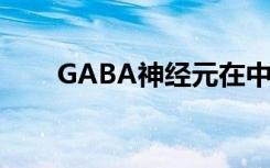 GABA神经元在中枢生物钟中的作用