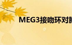 MEG3接吻环对肿瘤抑制至关重要