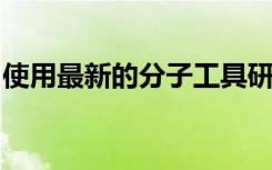 使用最新的分子工具研究基于性别的大脑差异