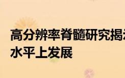 高分辨率脊髓研究揭示ALS如何在遗传和细胞水平上发展