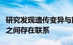 研究发现遗传变异与脑干大小其他皮质下结构之间存在联系