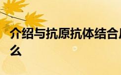 介绍与抗原抗体结合反应的动力学测定法是什么