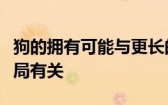 狗的拥有可能与更长的寿命和更好的心血管结局有关