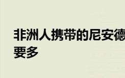 非洲人携带的尼安德特人DNA比以前想象的要多