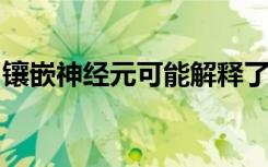 镶嵌神经元可能解释了神经退行性疾病的奥秘