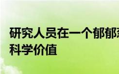 研究人员在一个郁郁葱葱的社区中计算树木的科学价值