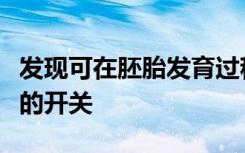 发现可在胚胎发育过程中将血管转化为干细胞的开关